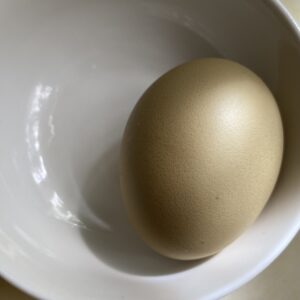 金色に見える卵